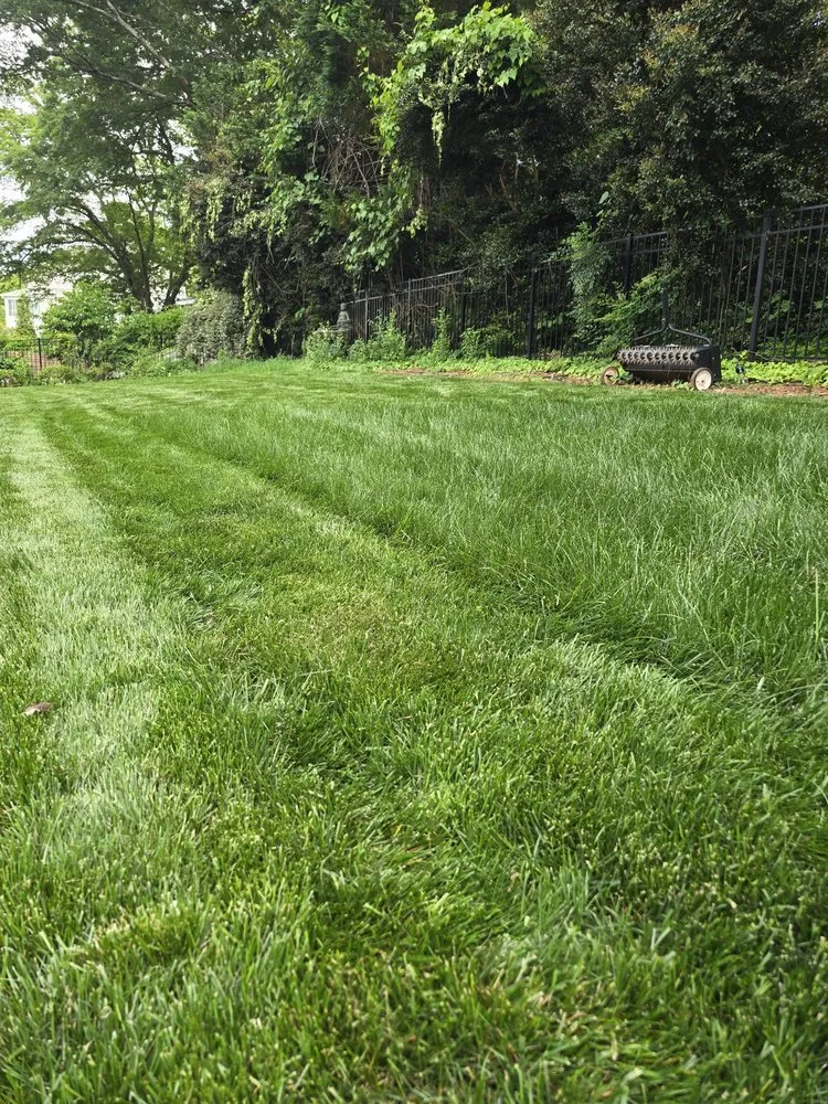 Top-rated landscaping services for year-round maintenance across Raleigh, NC - Lawn Doctor of North Raleigh