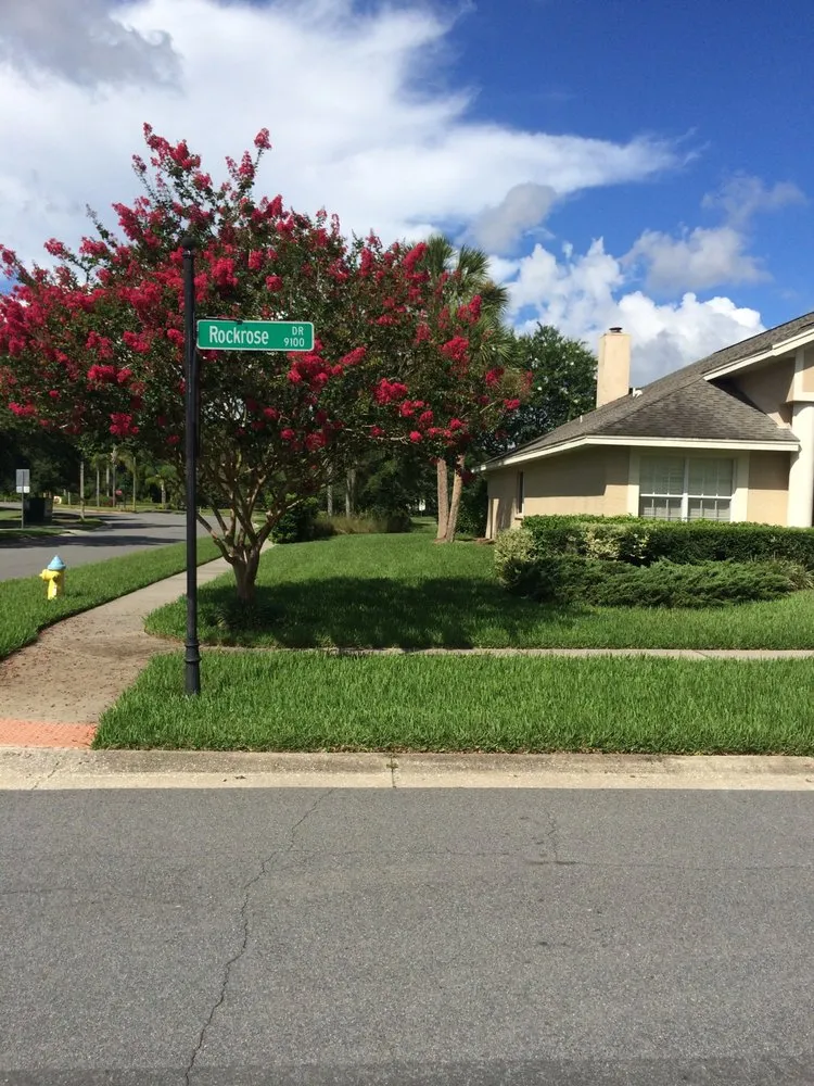 Trusted yard maintenance for residential properties across Land o Lakes, FL - Lawn Doctor of North Tampa-Lutz