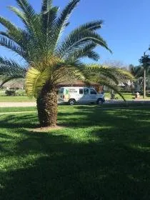 Top-rated yard cleanup service in Land o Lakes, FL - Lawn Doctor of North Tampa-Lutz