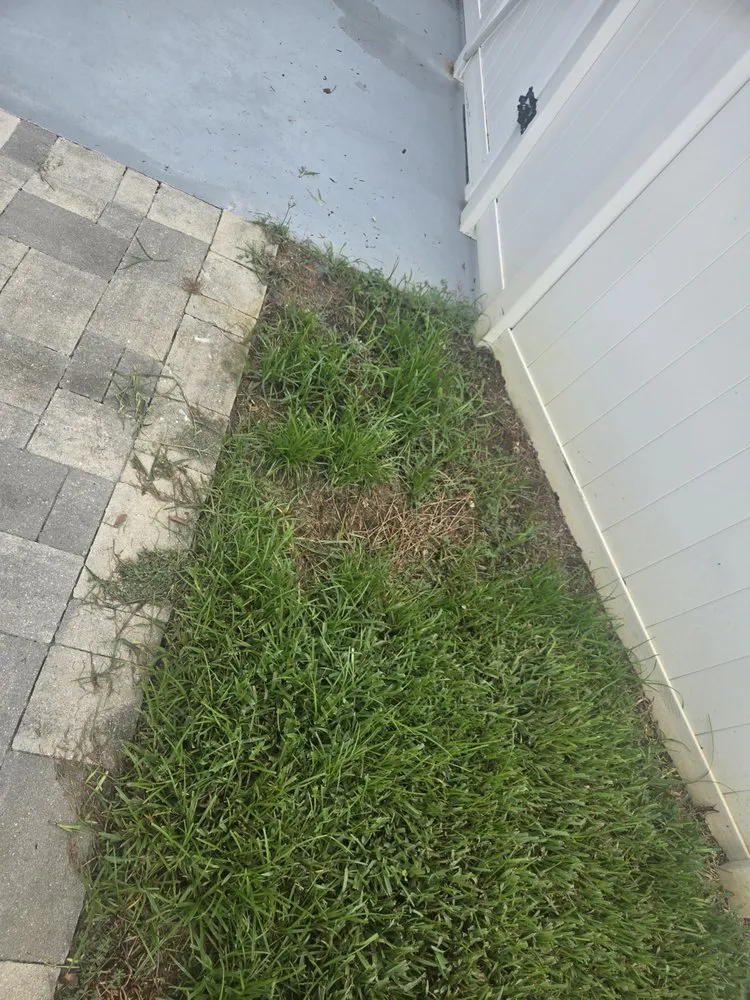 Trusted landscape installation in Pinellas Park, FL - Lawn Doctor of Pinellas Park-St. Petersburg