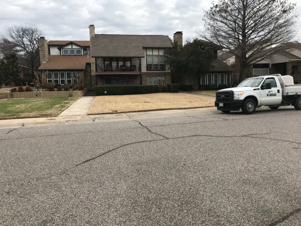 Top-rated residential landscaping in Lewisville, TX by Lawn Doctor of Plano-Frisco-Little Elm