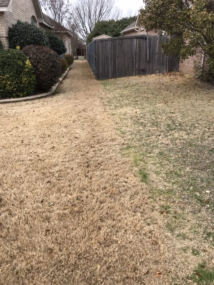 Professional landscaping services in Lewisville, TX - Lawn Doctor of Plano-Frisco-Little Elm