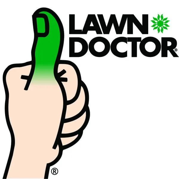 Top-rated yard cleanup service experts serving Rochester, NY - Lawn Doctor of Rochester