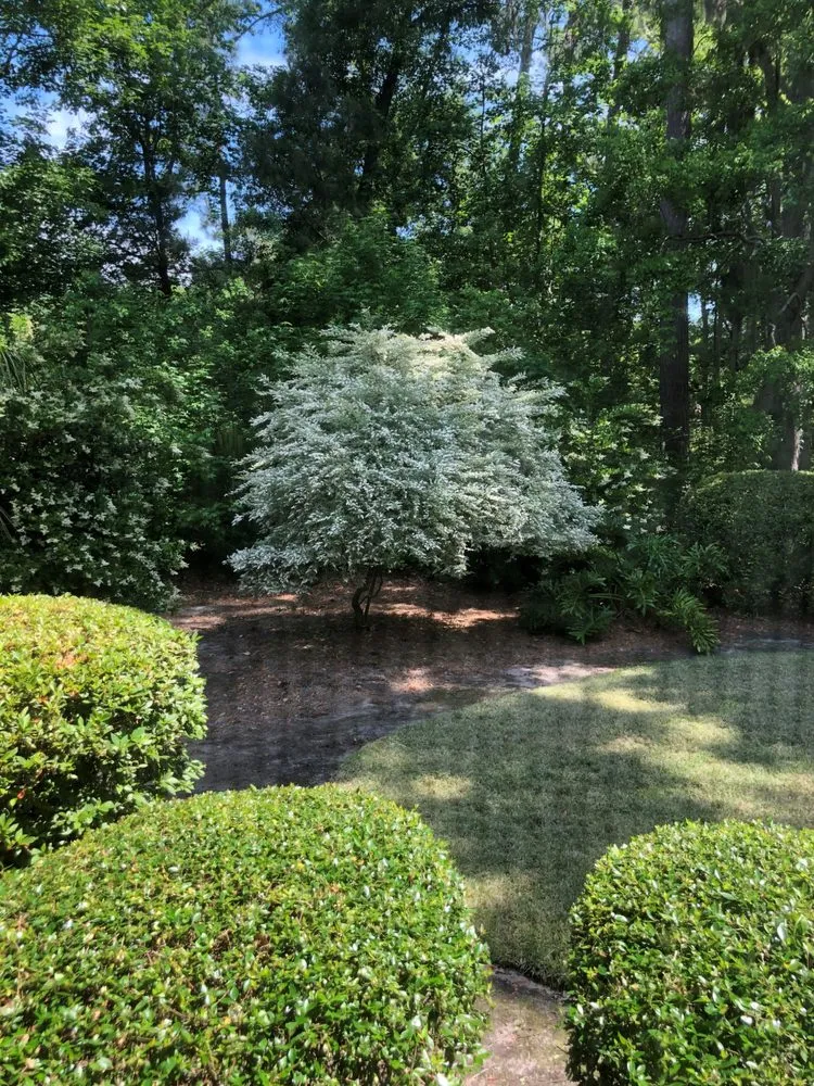 Local garden landscaping for residential properties in Pooler, GA by Lawn Doctor of Savannah & Beaufort County