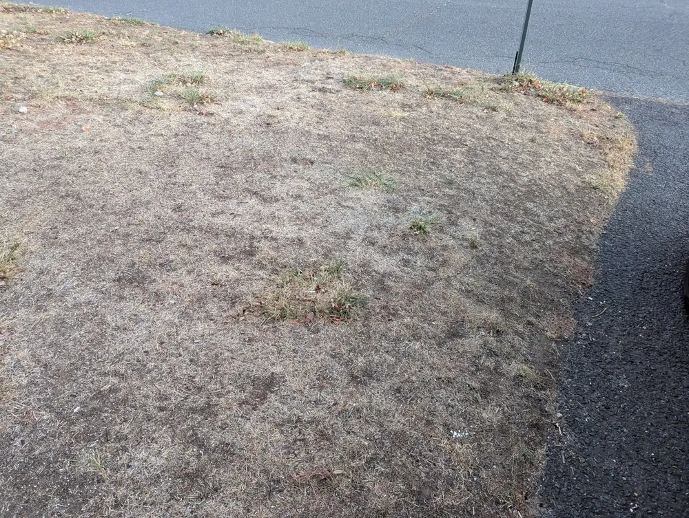 Local lawn mowing service in New Brunswick, NJ by Lawn Doctor of SE Mercer & Middlesex County