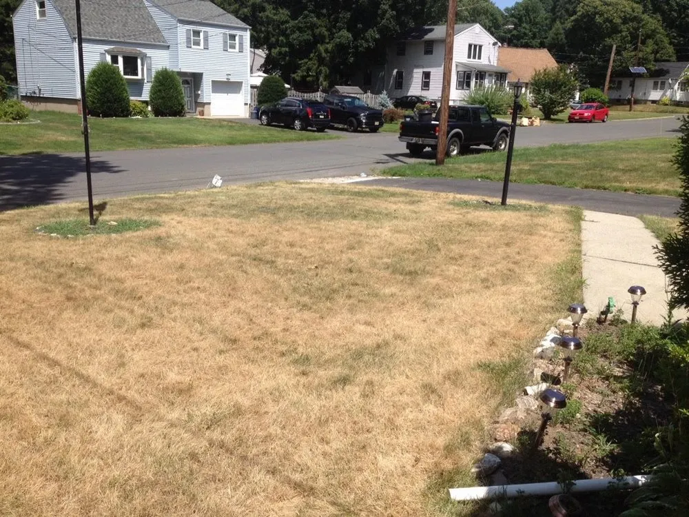 Affordable residential landscaping in New Brunswick, NJ by Lawn Doctor of SE Mercer & Middlesex County