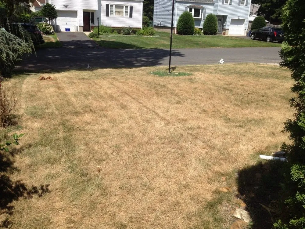 Expert outdoor landscaping for homes across New Brunswick, NJ - Lawn Doctor of SE Mercer & Middlesex County