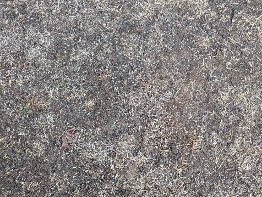 Local landscape design for outdoor upgrades across New Brunswick, NJ - Lawn Doctor of SE Mercer & Middlesex County