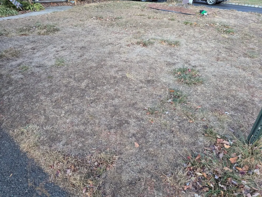 Trusted landscaping services for homes across New Brunswick, NJ - Lawn Doctor of SE Mercer & Middlesex County