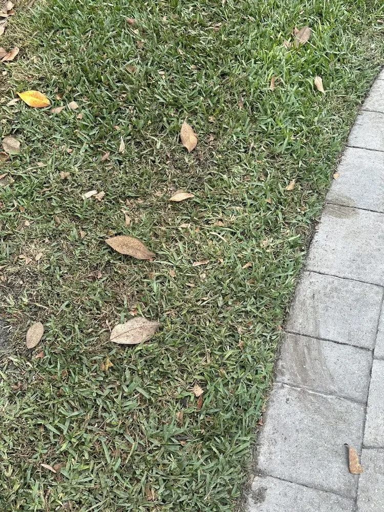 Trusted residential landscaping for residential properties across Jacksonville, FL - Lawn Doctor of South Jacksonville -St. Johns