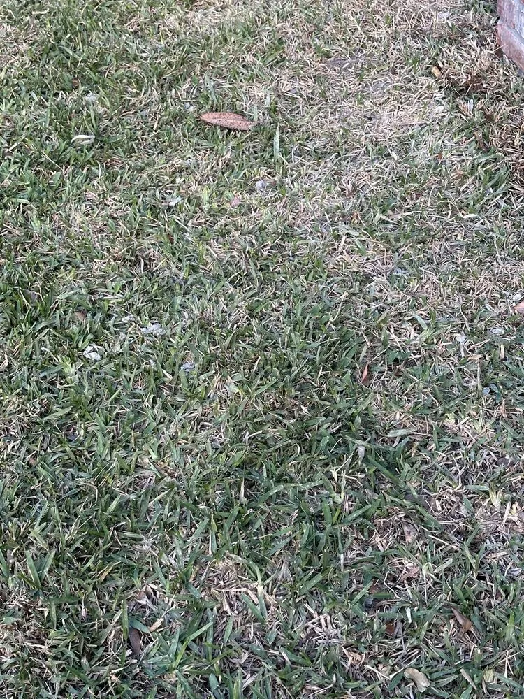 Top-rated residential landscaping in Jacksonville, FL by Lawn Doctor of South Jacksonville -St. Johns