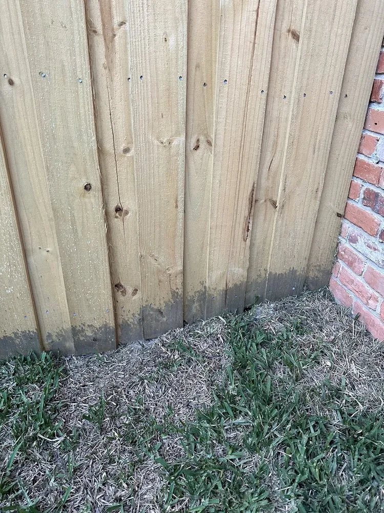 Reliable landscape design in Jacksonville, FL by Lawn Doctor of South Jacksonville -St. Johns