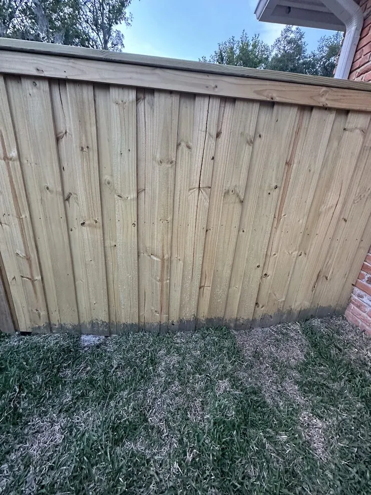 Custom lawn care service in Jacksonville, FL by Lawn Doctor of South Jacksonville -St. Johns