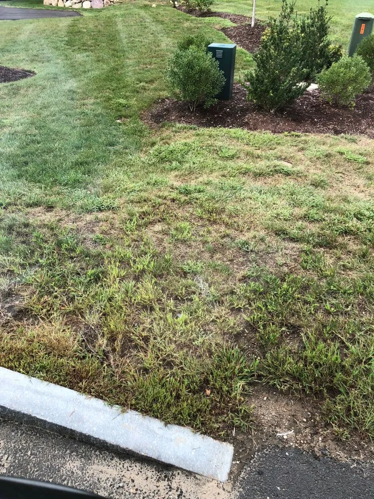 Top-rated landscaping services in Hanson, MA by Lawn Doctor of South Shore