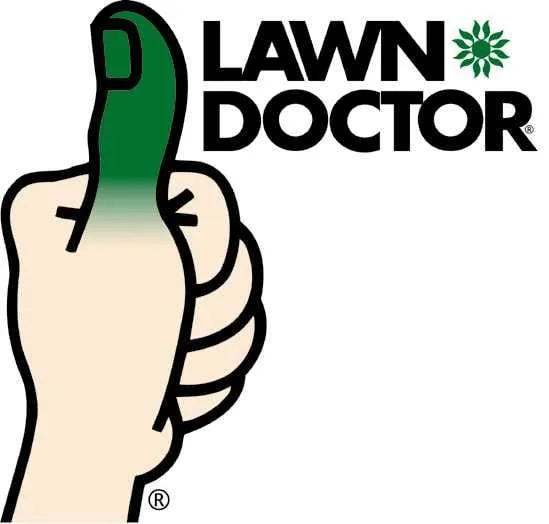 Reliable yard cleanup service with custom design in Hanson, MA by Lawn Doctor of South Shore