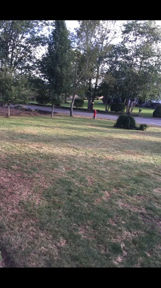 Local lawn mowing service experts serving Hanson, MA - Lawn Doctor of South Shore