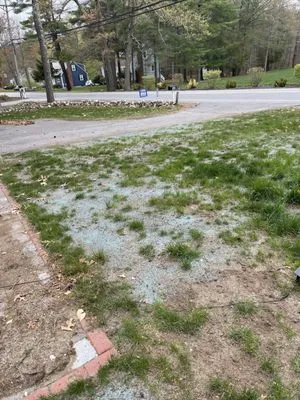 Lawn Doctor of South Shore