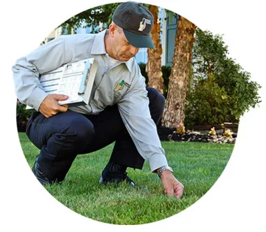 Expert outdoor landscaping experts serving Garner, NC - Lawn Doctor of Southern Wake County