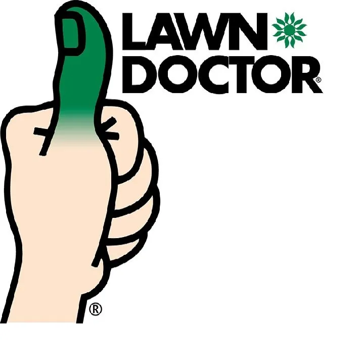 Top-rated landscape design in Garner, NC - Lawn Doctor of Southern Wake County