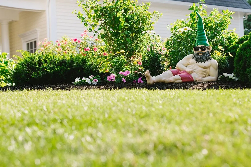 Reliable yard maintenance in St Charles, MO by Lawn Doctor of St. Charles