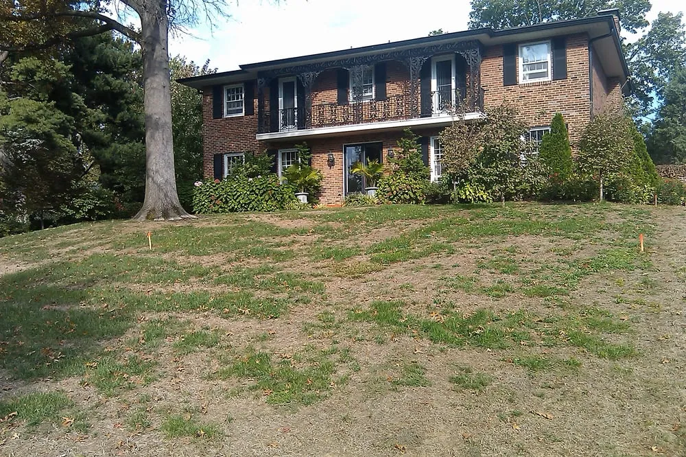 Reliable landscape installation for year-round maintenance across St Charles, MO - Lawn Doctor of St. Charles