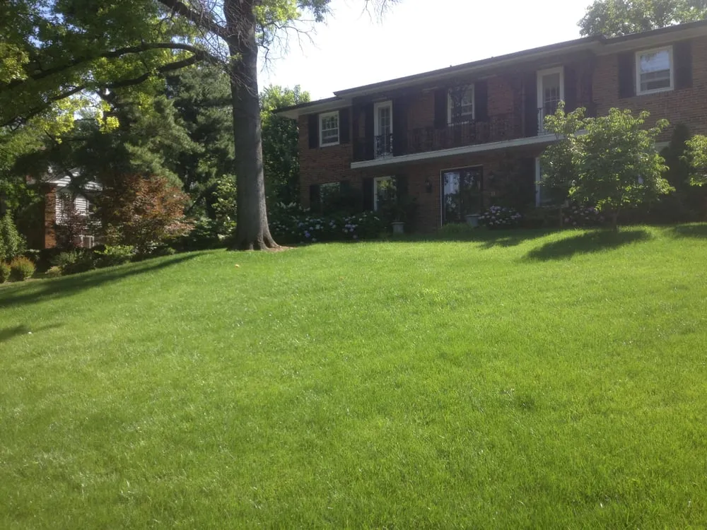 Affordable yard maintenance experts serving St Charles, MO - Lawn Doctor of St. Charles