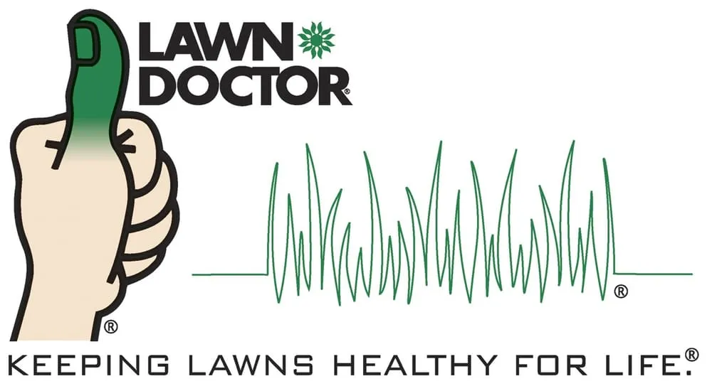 Local yard maintenance in Fredericksburg, VA - Lawn Doctor of Stafford