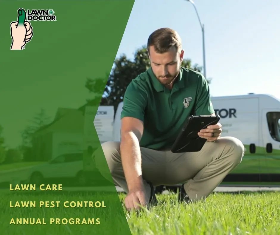 Expert outdoor landscaping for year-round maintenance in Cresson, TX by Lawn Doctor of Stephenville- Glen Rose-Tolar