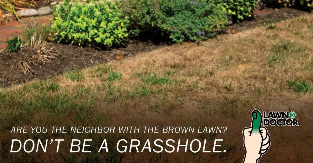 Top-rated lawn mowing service in Georgetown, DE - Lawn Doctor of Sussex County