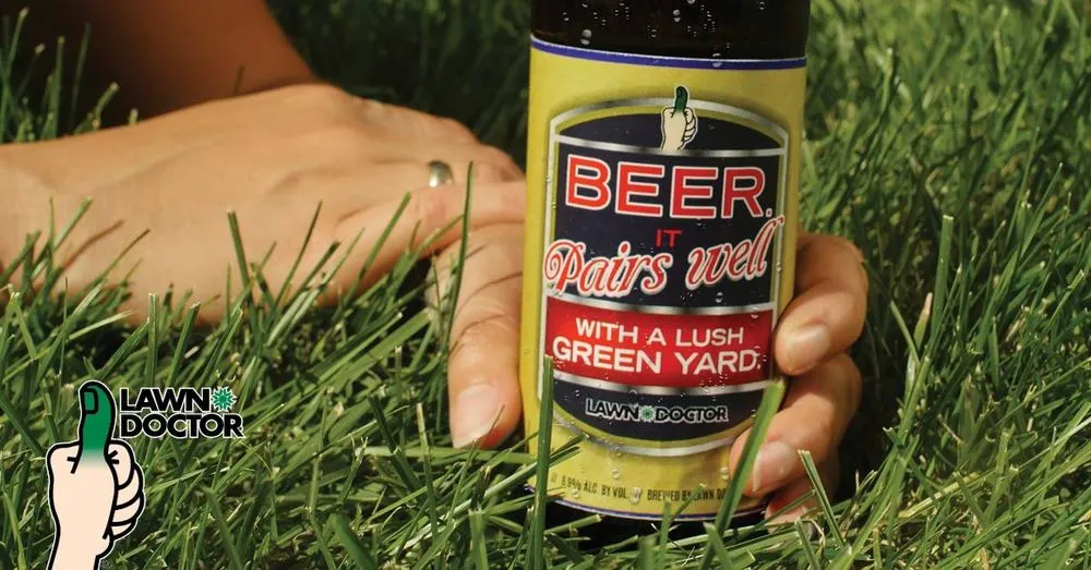 Professional yard cleanup service in Georgetown, DE by Lawn Doctor of Sussex County