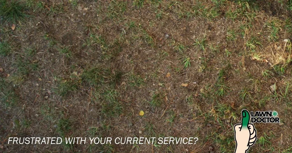 Professional landscaping services in Georgetown, DE - Lawn Doctor of Sussex County