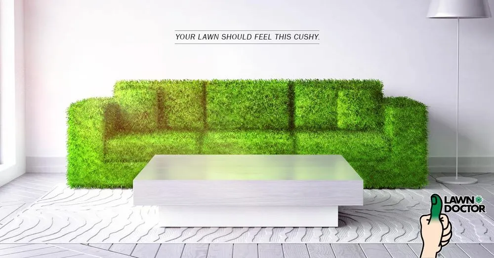 Expert yard maintenance in Georgetown, DE - Lawn Doctor of Sussex County