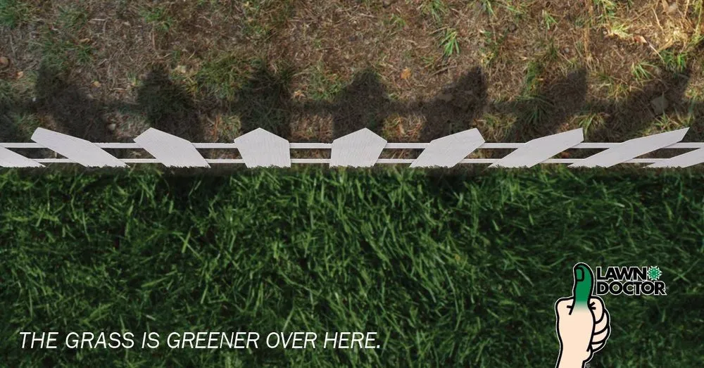 Affordable lawn mowing service in Georgetown, DE - Lawn Doctor of Sussex County