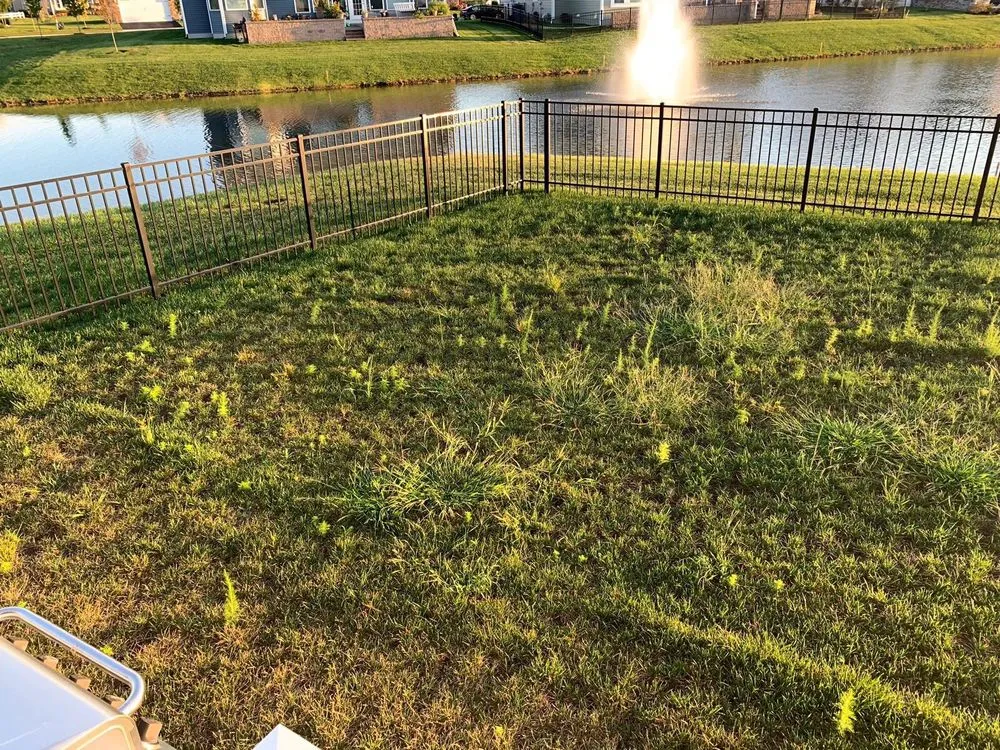 Top-rated yard maintenance near you in Georgetown, DE by Lawn Doctor of Sussex County