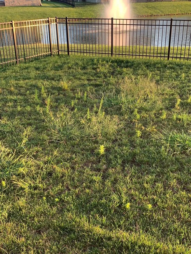 Reliable landscape installation for year-round maintenance in Georgetown, DE by Lawn Doctor of Sussex County