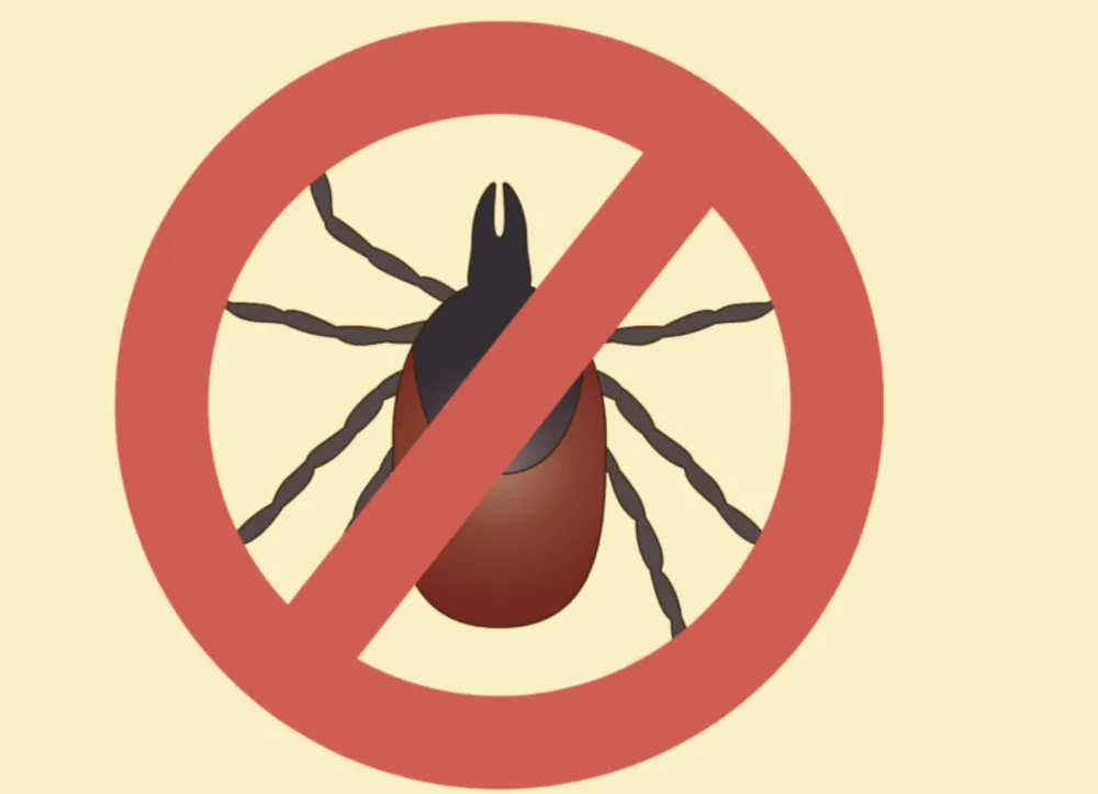 Trusted garden landscaping for outdoor upgrades in Water Mill, NY by Lawn Doctor Of The Hamptons