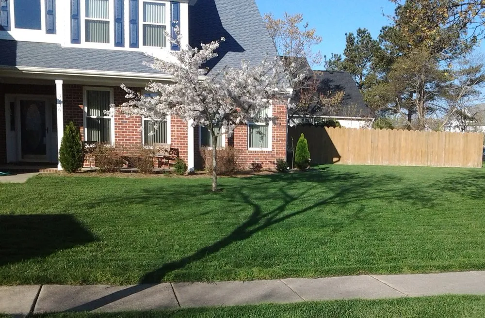 Professional landscaping services in Virginia Beach, VA by Lawn Doctor of Virginia Beach