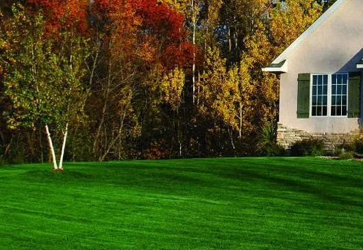 Custom yard maintenance with custom design across Butler, NJ - Lawn Doctor of Wayne and Northern New Jersey
