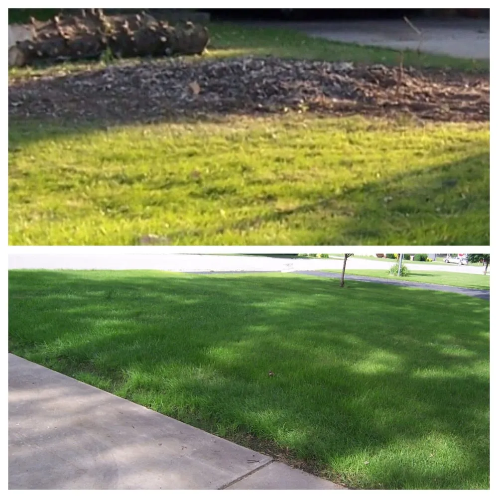 Top-rated landscape installation in Griffith, IN - Lawn Doctor of West Lake County