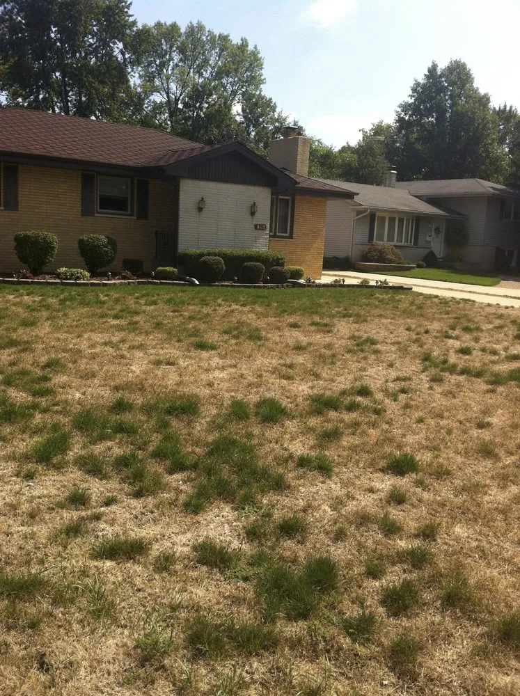 Trusted landscape design for beautiful yards in Griffith, IN by Lawn Doctor of West Lake County