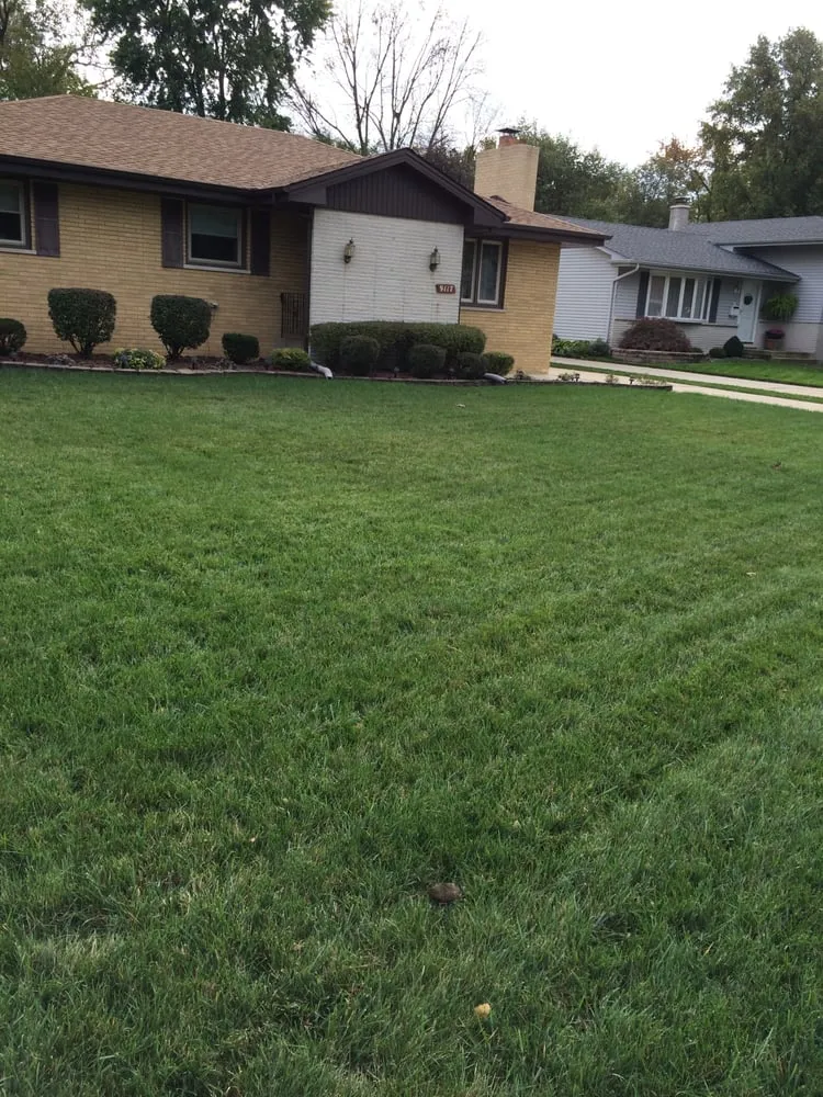 Trusted outdoor landscaping for beautiful yards across Griffith, IN - Lawn Doctor of West Lake County