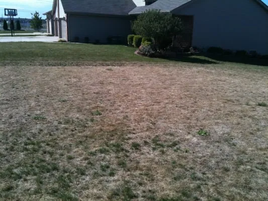 Lawn Doctor of West Lake County