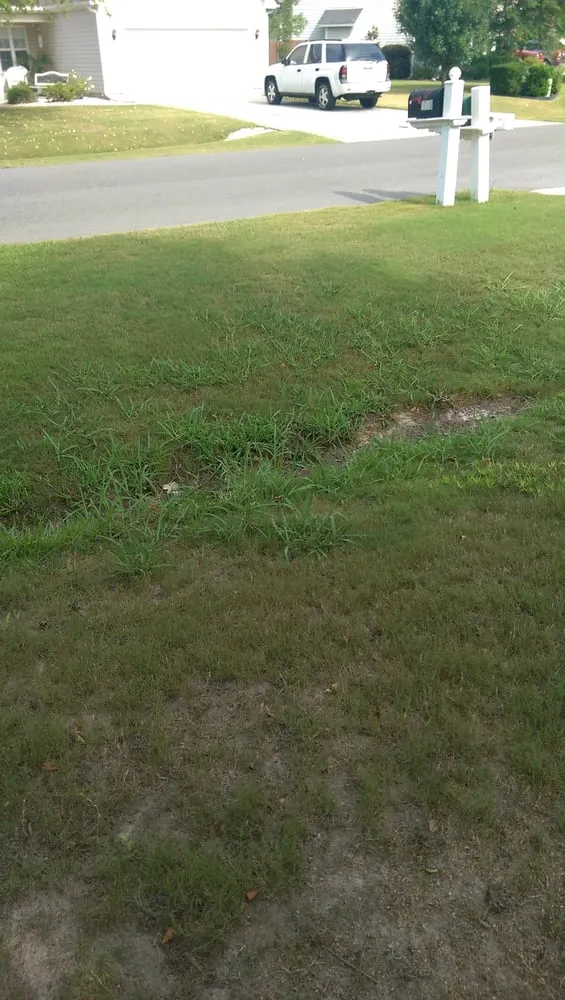 Professional garden landscaping in Wilmington, NC by Lawn Doctor of Wilmington-Brunswick