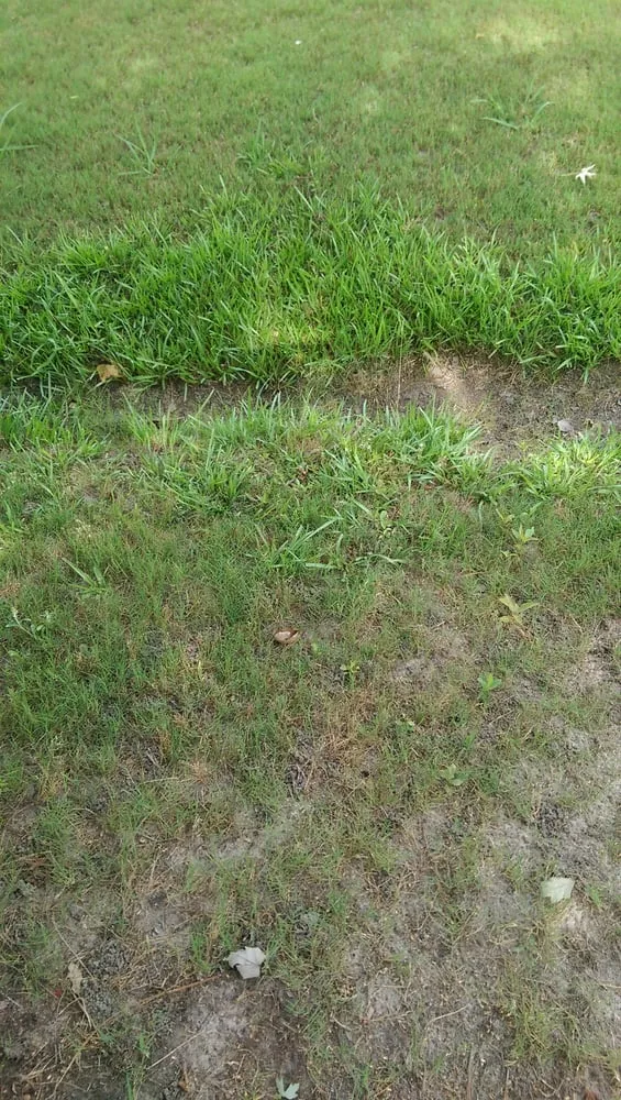 Reliable lawn care service experts serving Wilmington, NC - Lawn Doctor of Wilmington-Brunswick