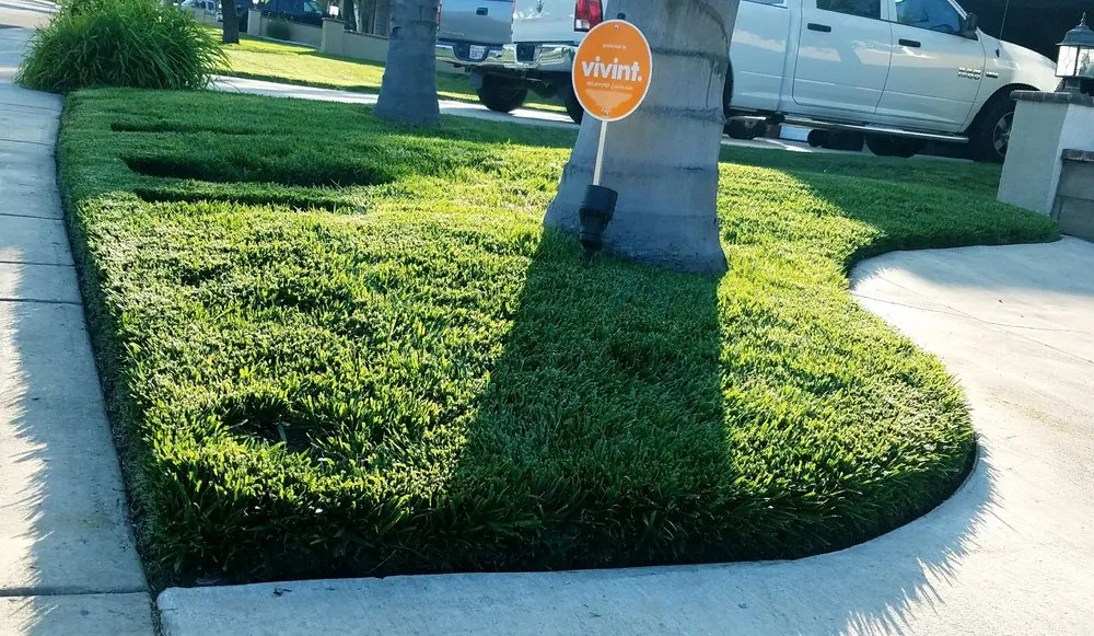 Expert outdoor landscaping for year-round maintenance across Ontario, CA - Lawn Doctor