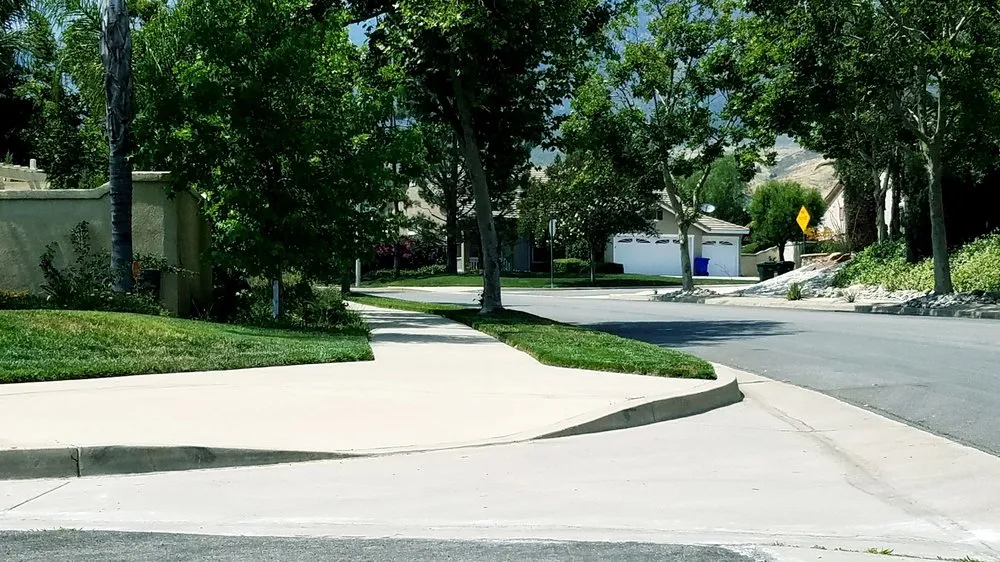 Professional yard cleanup service in Ontario, CA by Lawn Doctor