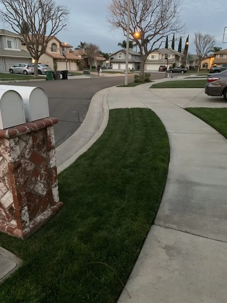 Expert yard cleanup service in Ontario, CA by Lawn Doctor