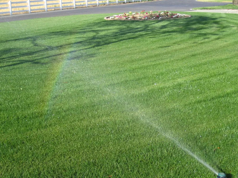 Reliable outdoor landscaping in Ontario, CA by Lawn Doctor