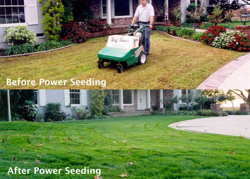 Reliable landscape installation for year-round maintenance across Ontario, CA - Lawn Doctor
