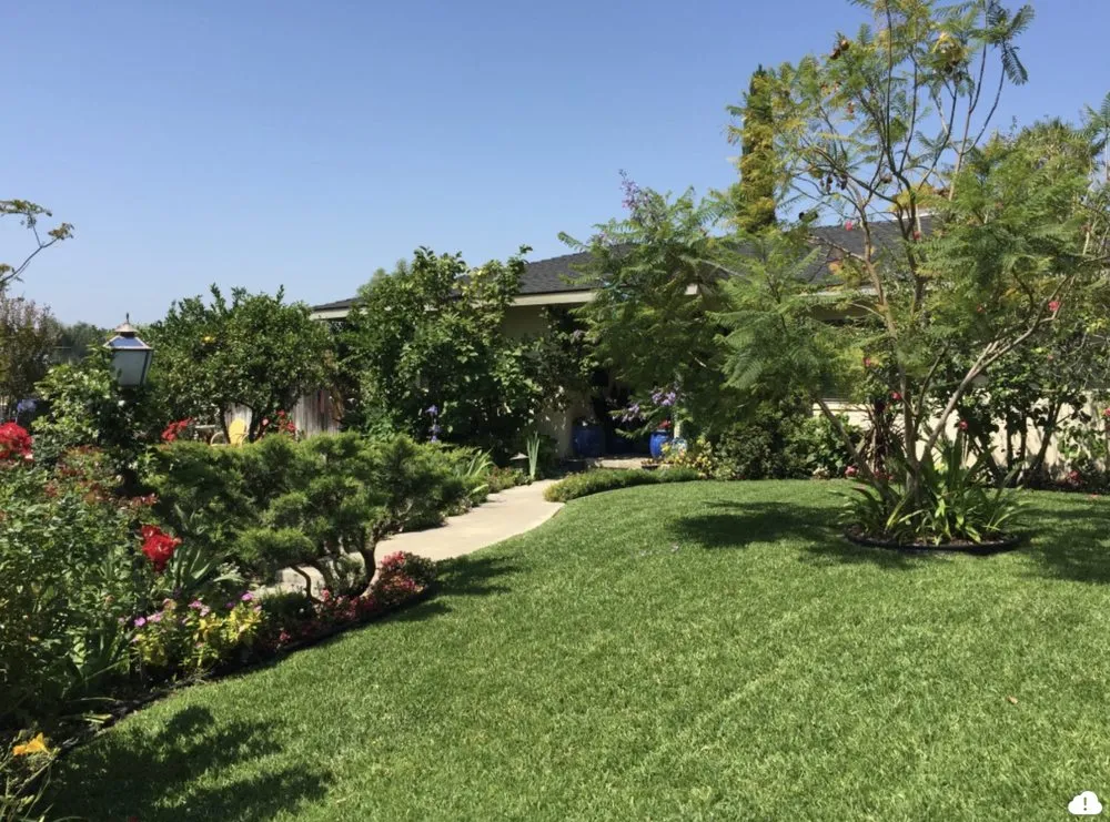 Local residential landscaping in Ontario, CA - Lawn Doctor